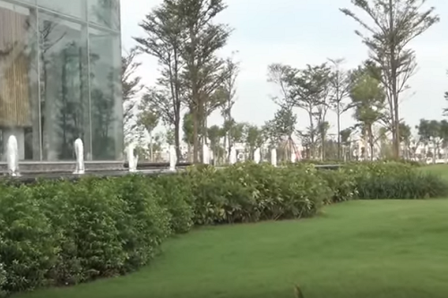 Celadon Sales Office