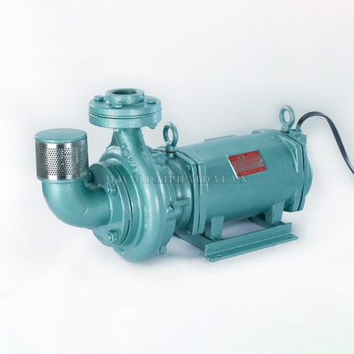 Máy bơm chìm Đài phun nước ASM-1-2hp 